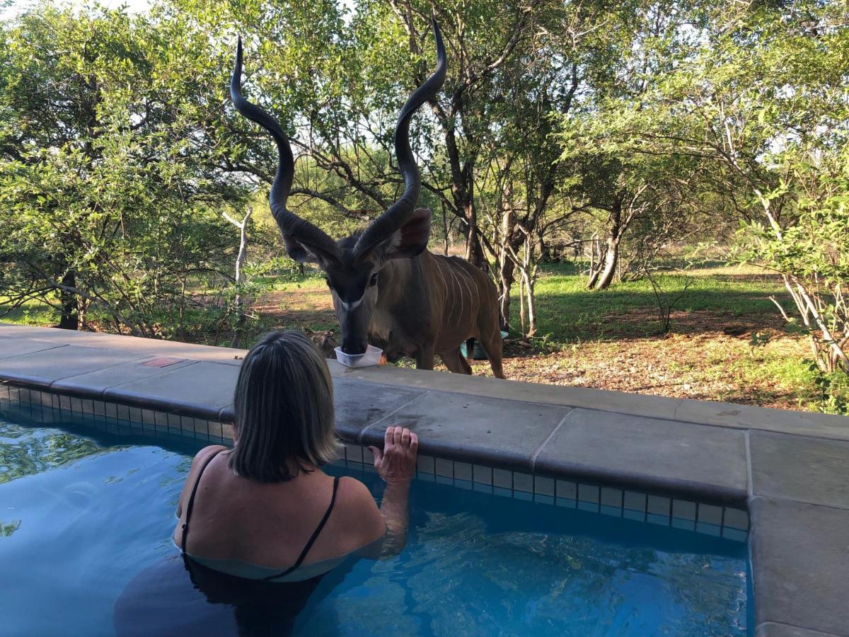 Kruger Willows Marloth Park Eksteriør bilde
